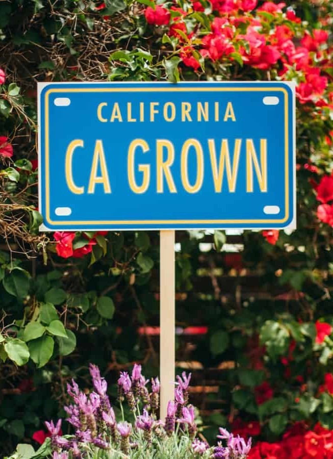 CA Grown