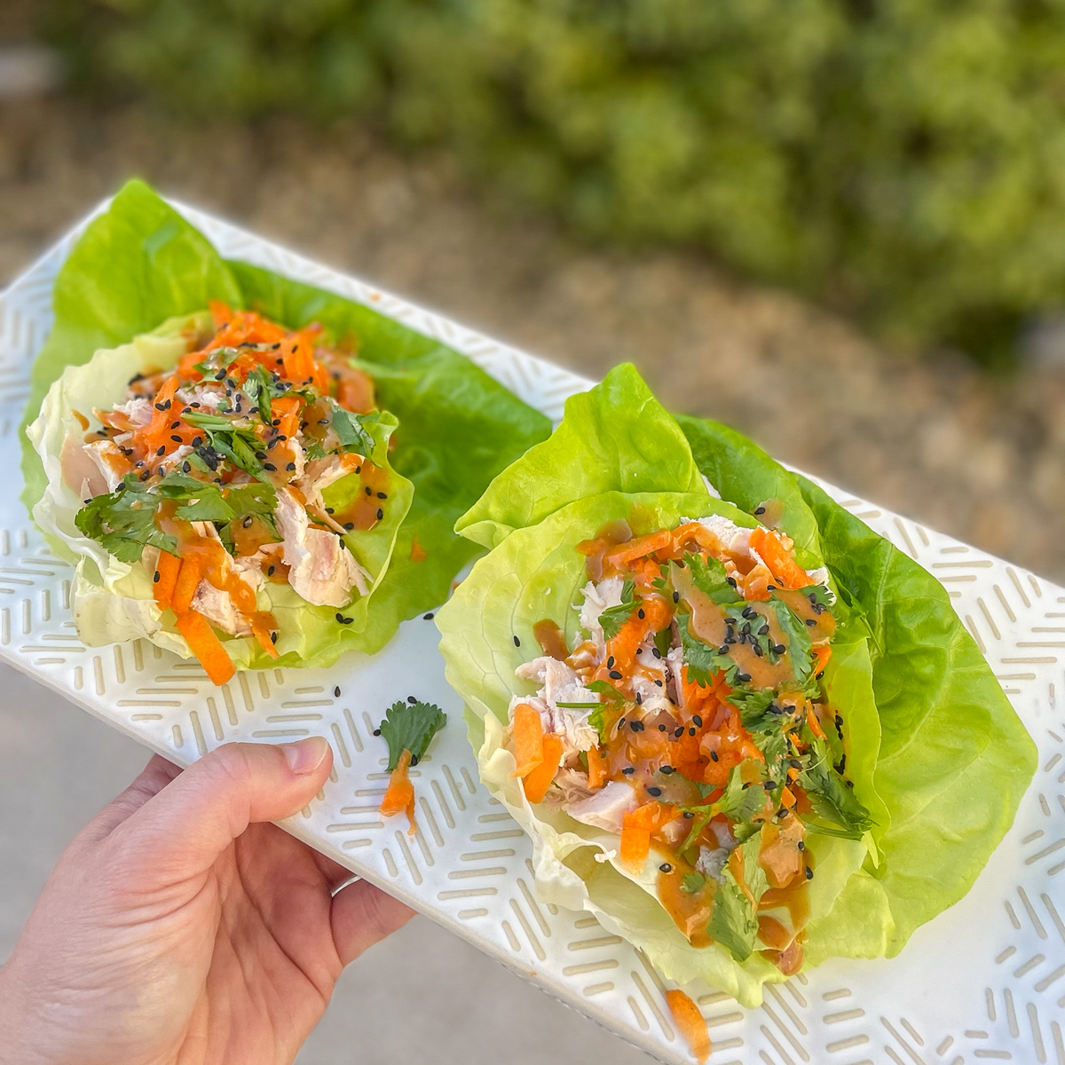 Chicken Lettuce Wraps