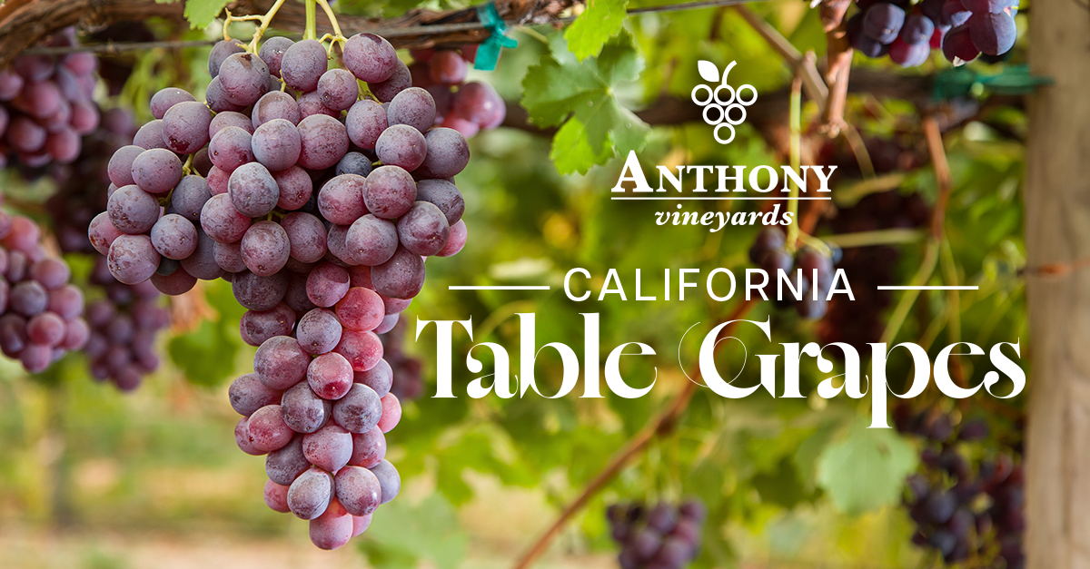 Anthony Vineyards