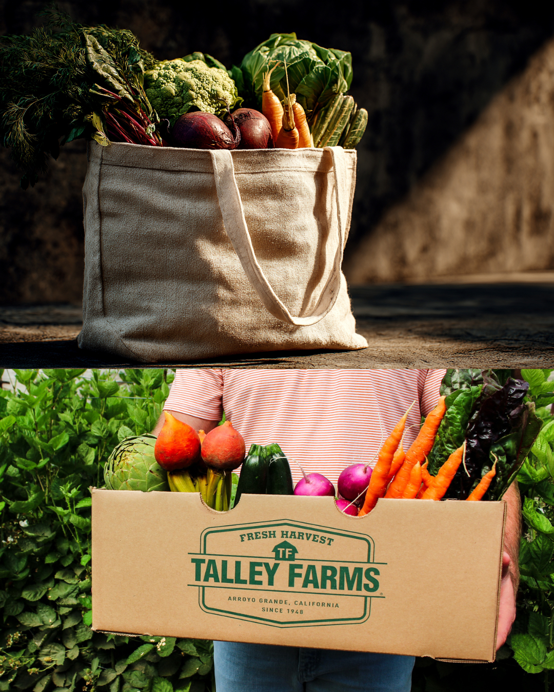 Grocery Store vs Talley Box