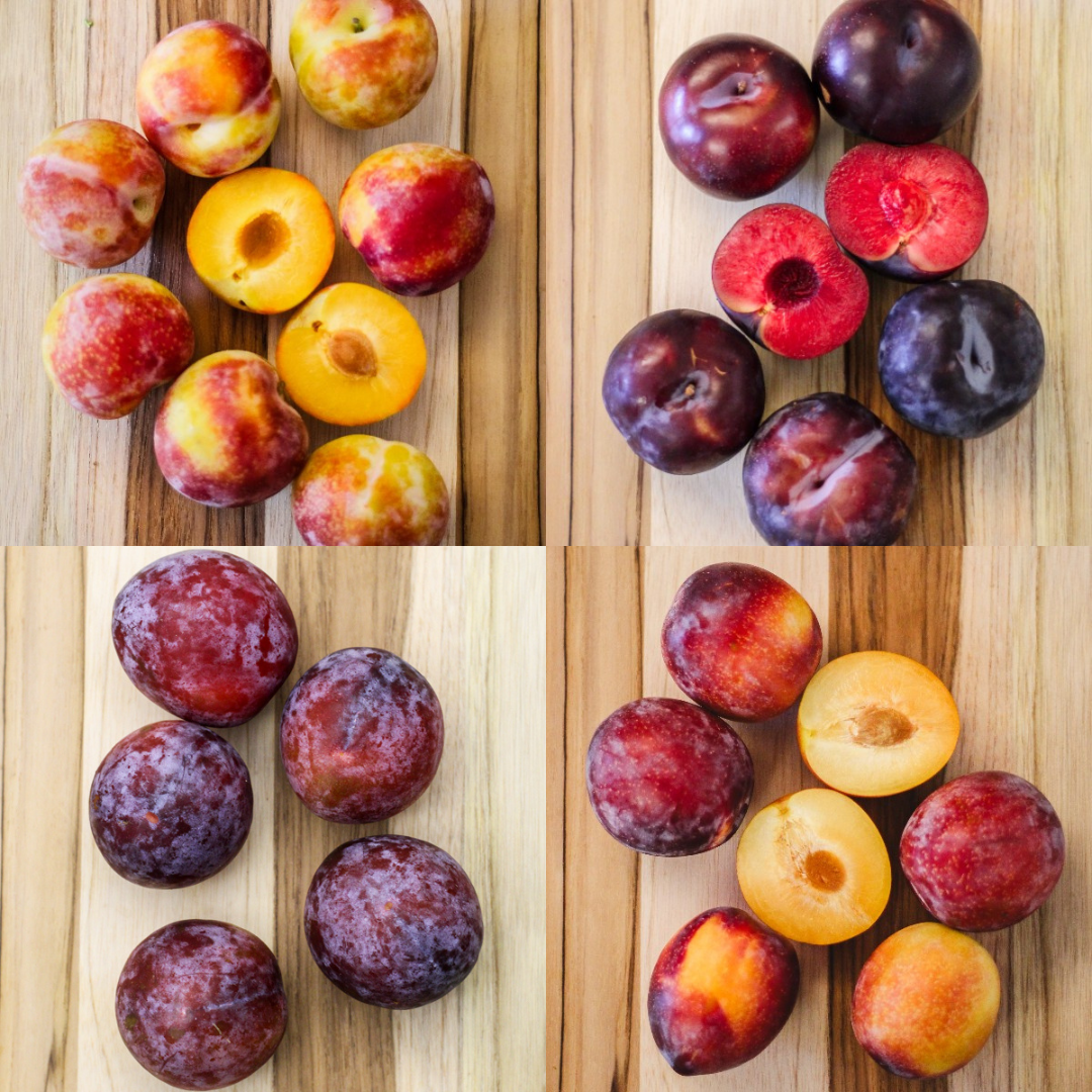 Varieties