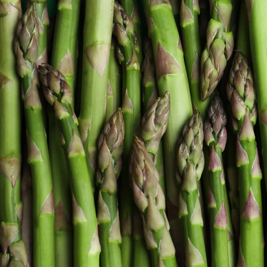 Asparagus