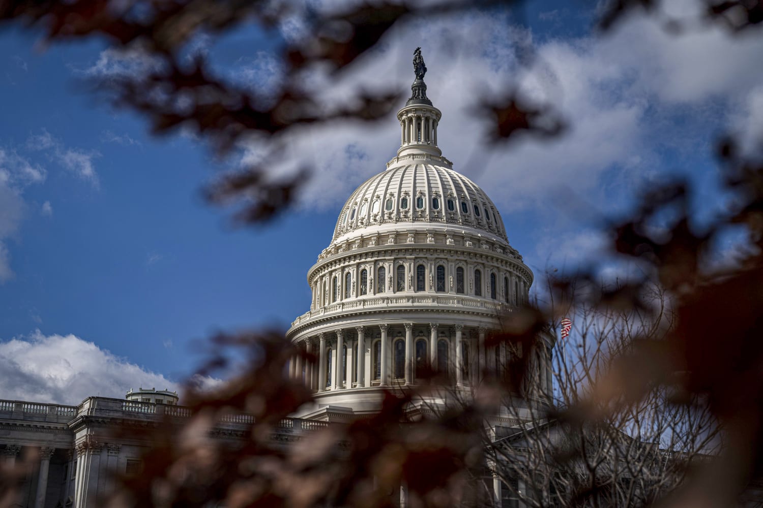 U.S. Capitol Building