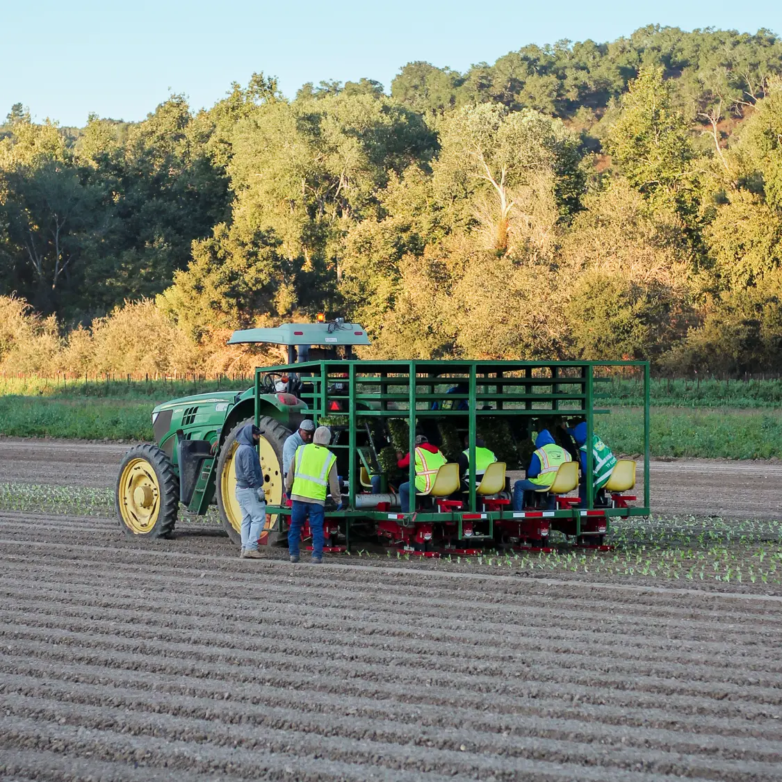 Working on the farm