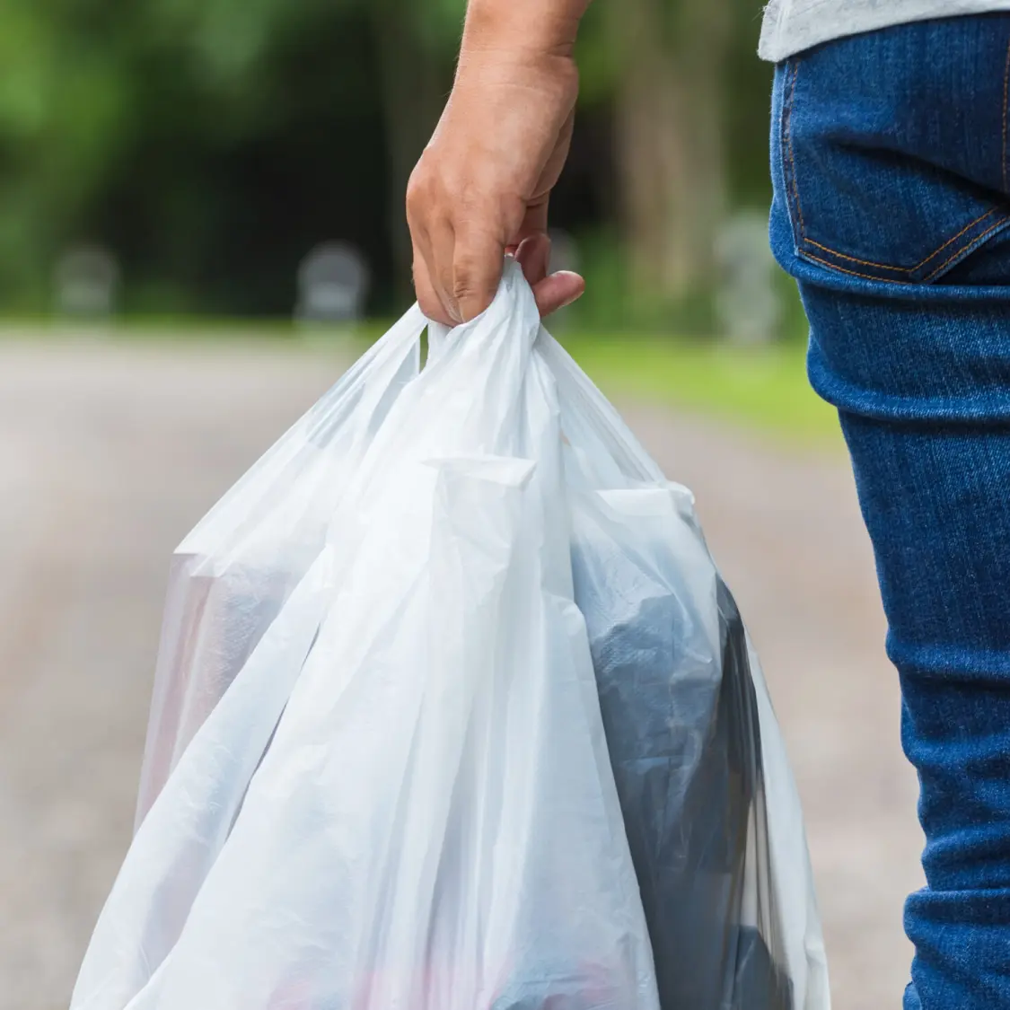 Grocery bag