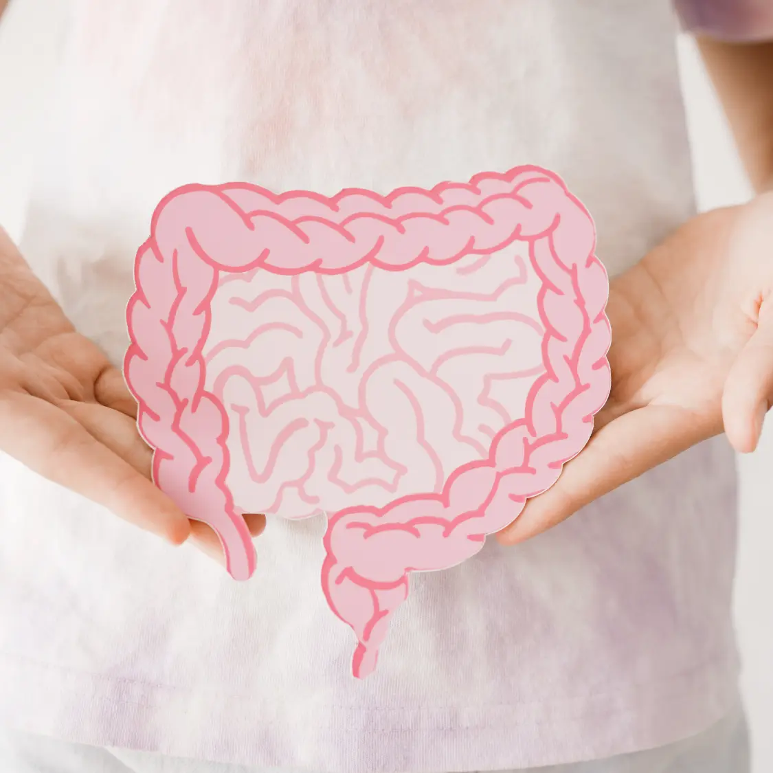 Gut Reset
