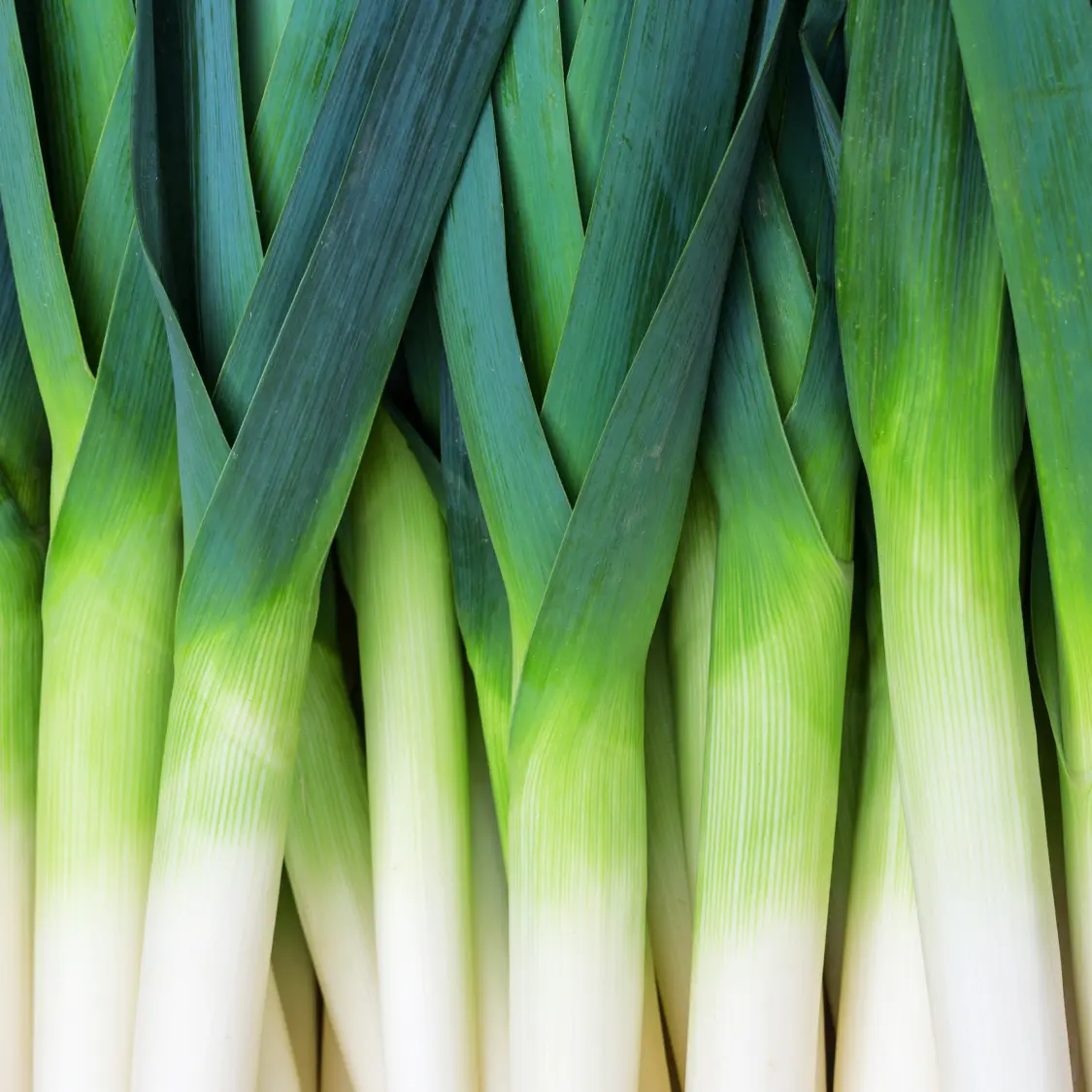 Leeks