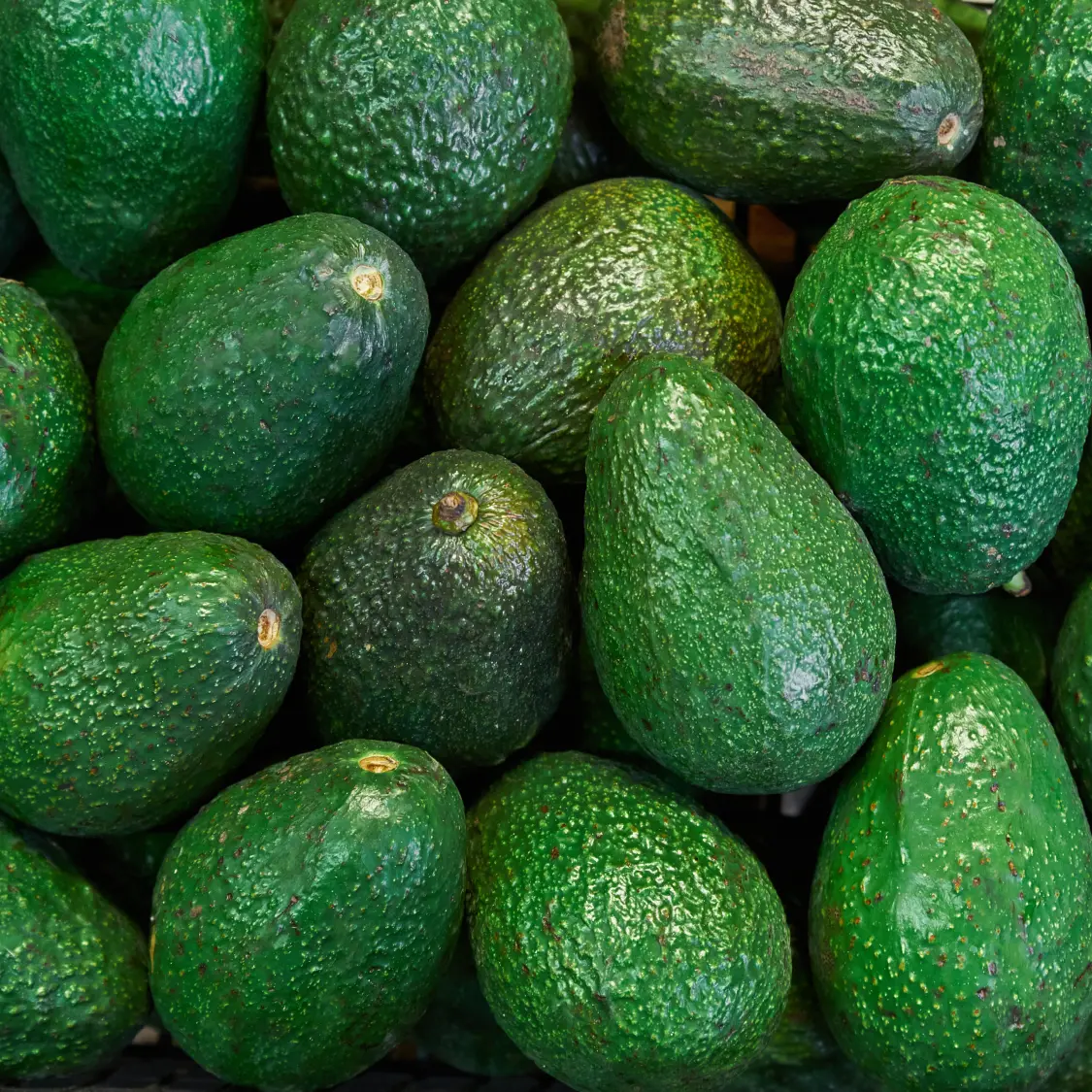 Avocados