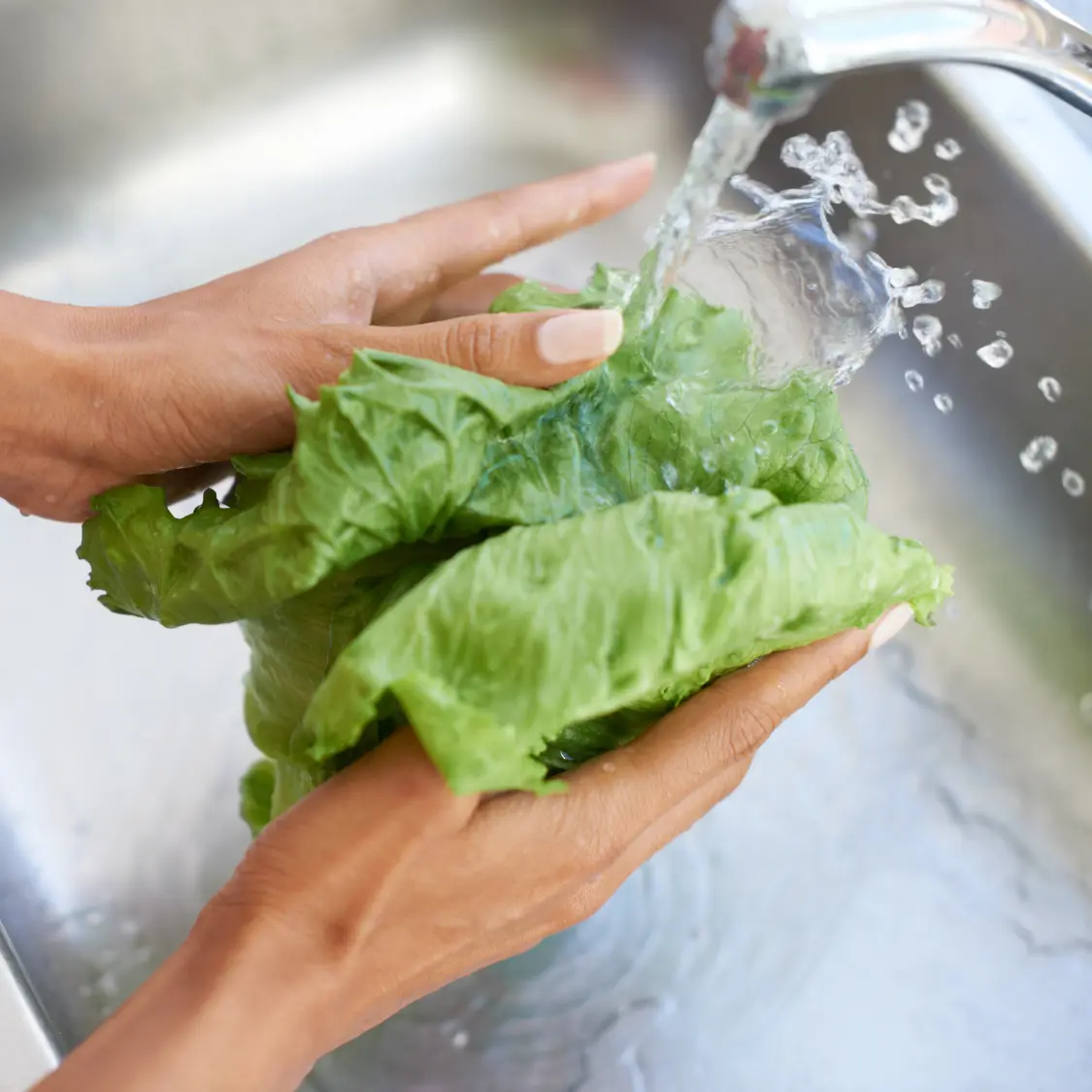 Washing lettuce