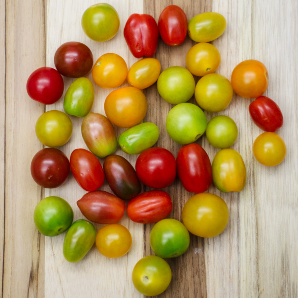 Medley Tomatoes